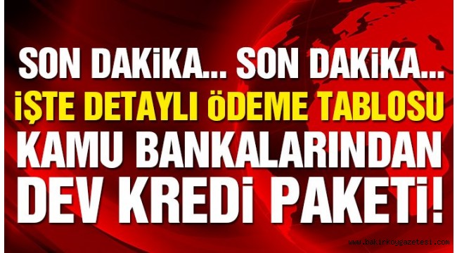 Son dakika: Kamu bankalarından kredi paketi