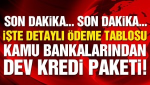 Son dakika: Kamu bankalarından kredi paketi