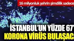 Tehlikenin Farkında mısınız? İstanbul'un yüzde 67'sine korona virüs bulaşacak ki...