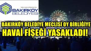TÜRKİYE'DE BİR İLK !BAKIRKÖY'DE BELEDİYE MECLİSİ HAVAİ FİŞEĞİ YASAKLADI