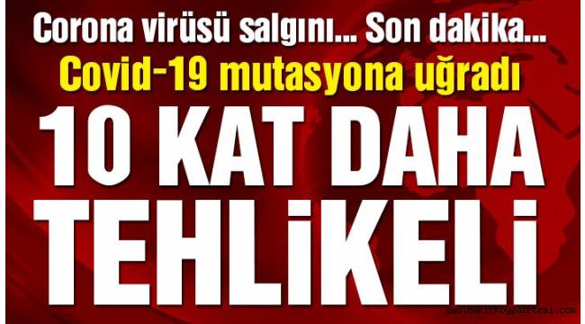 Yeni bir corona virüsü türü tespit edildi: 10 kat daha tehlikeli