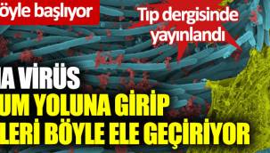 Korona solunum yoluna girip, hücreleri böyle ele geçiriyor… 