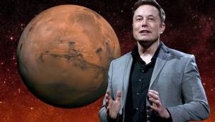 Elon Musk: Düzmece birşeyler dönüyor... Dört test oldum… İkisi pozitif ikisi negatif