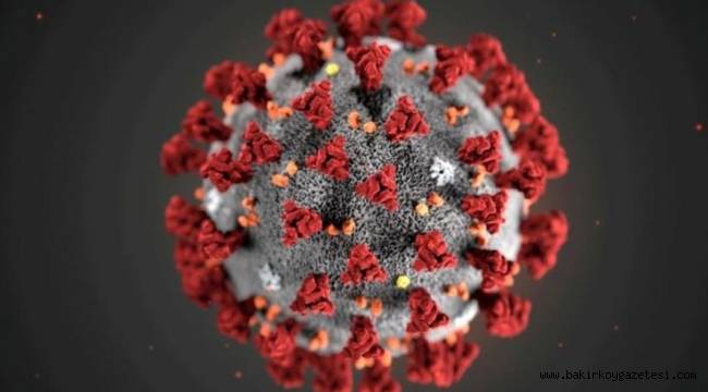 Geçmeyen corona virüsünün sebebi belli oldu