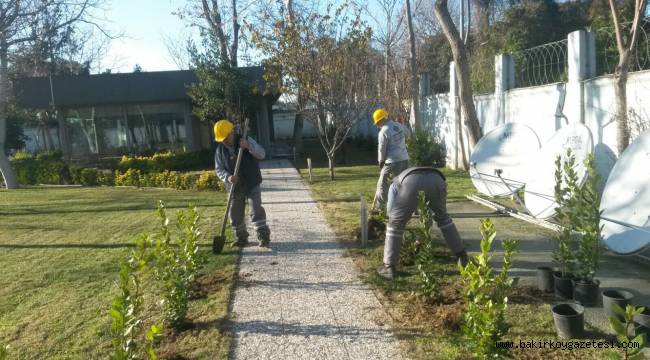 BAKIRKÖY BELEDİYESİ PARK VE BAHÇELERDEN AÇIKLAMA !