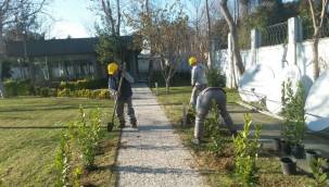 BAKIRKÖY BELEDİYESİ PARK VE BAHÇELERDEN AÇIKLAMA !
