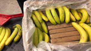 Kokain dolu muzlar yanlışlıkla nereye gitti