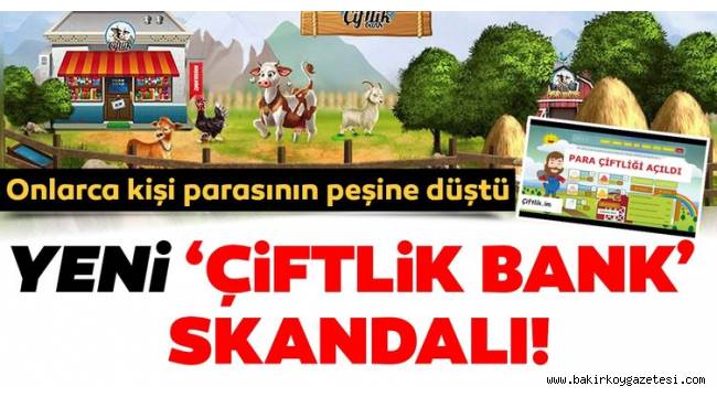 Yeni 'Çiftlik Bank' skandalı: Onlarca kişi parasının peşine düştü...