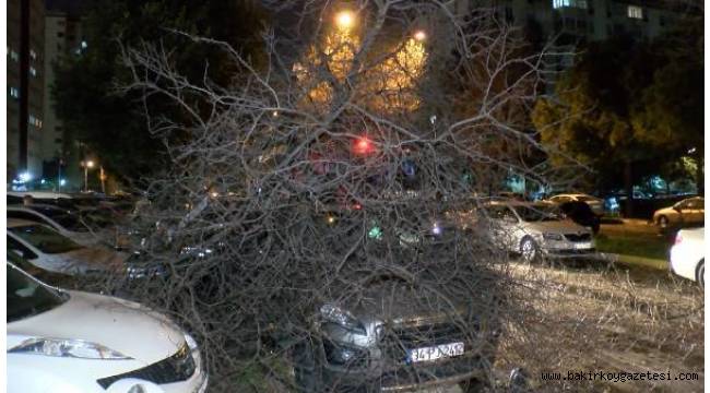 Bakırköy'de ağaç otomobilin üzerine devrildi