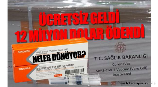 Bir milyon doz koronavirüs aşısının gümrük belgesi ortaya çıktı