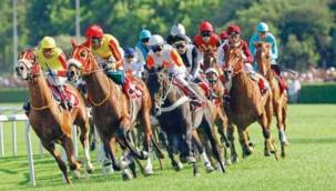 Varlık Fonu'ndan 'at yarışı' kararı