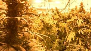 Bakırköy'de uyuşturucu serasına dönüştürülen eve baskın