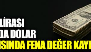 Dolar alev alev