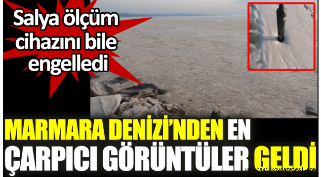 Marmara Denizi'nden en çarpıcı görüntüler geldi.