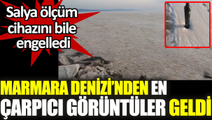 Marmara Denizi'nden en çarpıcı görüntüler geldi.