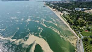 BAKIRKÖY KIYILARINI DENİZ SALYASI SARDI...