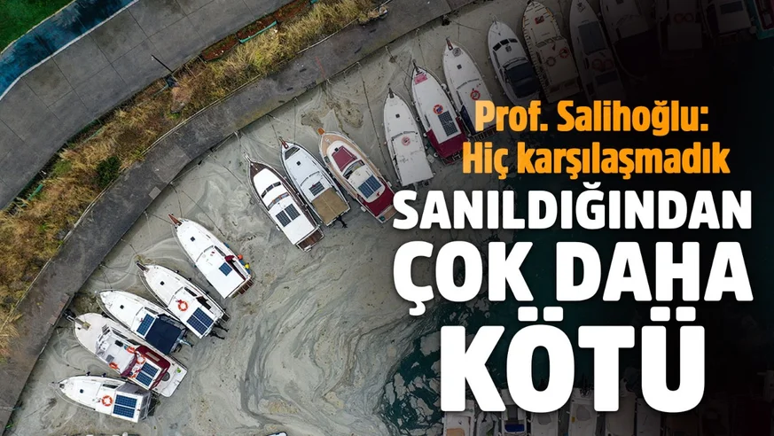 Deniz salyasında son durum!