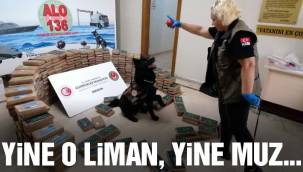 Yine o liman, yine muz gemisi: Yeni Rota'da bu kez 463 kilo kokain