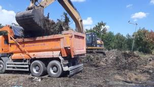 ATAKÖY YANGIN YERİNDEKİ DALLAR TOPLANIYOR!
