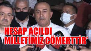 Mevlüt Çavuşoğlu'ndan yangın bölgesi için yardım çağrısı