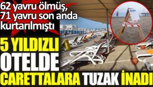 Orange County Hotel 'de iki caretta yuvası üzerine yürüme bandı yapıldığı belirlendi.