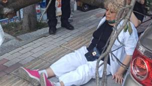 Bakırköy'de ağaç devrildi! Dalın çarptığı kadın yaralandı