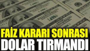 Dolar/TL faiz indirimi sonrası rekor üstüne rekor kırıyor