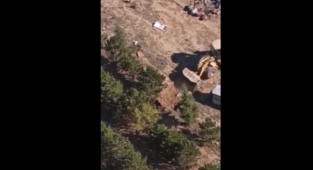 Kan donduran görüntü: AKP'li belediye onlarca köpeği diri diri toprağa gömdürdü