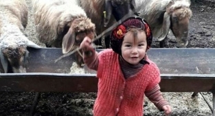 Küçük Müslüme'den acı haber