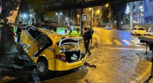 Bakırköy'de ağaca çarptı hayatını kaybetti