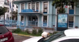 Taşınması planlanan Bakırköy İSKİ Şubesi için muhtarlar harekete geçti