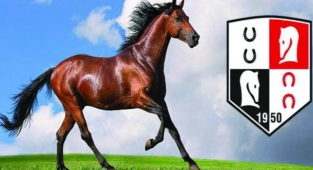 TJK Adana'da Seyisler Ayaklandı! Yarışlar 15.30'da Yapılacak