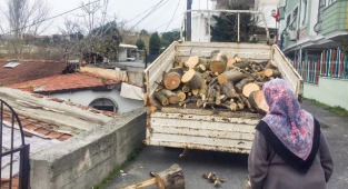 BAKIRKÖY'DE BUDANAN ve KESİLEN AĞAÇLAR YAKACAK ODUN OLARAK DAĞITILIYOR