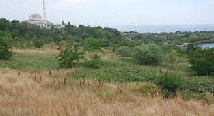 Bakırköy Meclisi’nin aldığı bir karara mahkeme yürütmeyi durdurma kararı verdi.