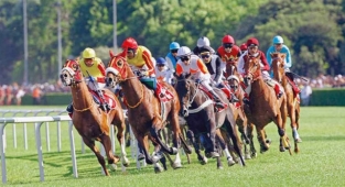 Atlar varlık fonu için yarışacak