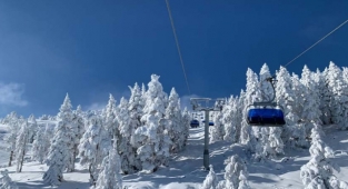 Sülün Osman amatör kalmış ! Devletin ormanını kendi malı gibi gösterip devlet bankasından kredi aldı