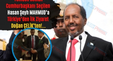 DOĞAN ÇELİK SOMALİ CUMHURBAŞKANI HASAN ŞEYH MAHMUT'U ZİYARET ETTİ