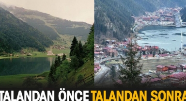Uzungöl'de talandan önce talandan sonra