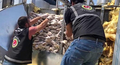 İstanbul Ambarlı Limanı’nda 2 ton uyuşturucu ele geçirildi