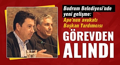 Başkan yardımcısı görevden alındı