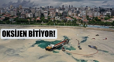 Marmara'da Oksijen bitiyor!