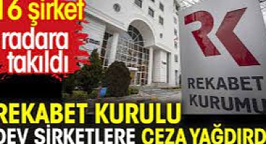 Rekabet Kurulu 16 firmaya ceza yağdırdı..