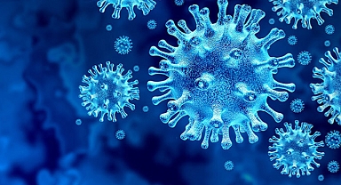 Beşinci hastalıkla ilgili çarpıcı açıklama: “Artış gösterdi, bu sene daha fazla var”