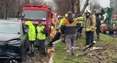 Bakırköy'de Rüzgarla Kopan Ağaç Daldan Zincirleme Kaza