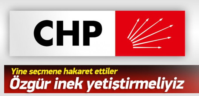 CHP'li vekil Öğüt'ten millete hakaret